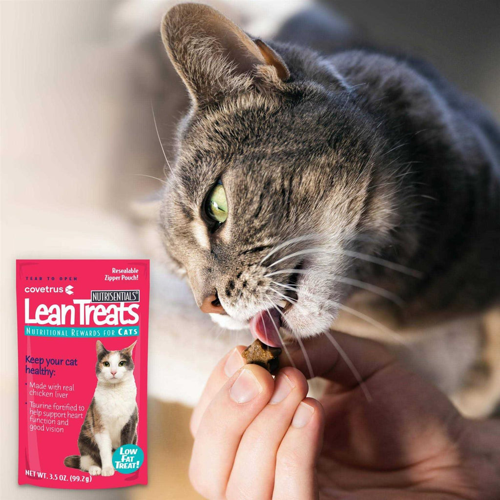 Lean Cat Treats Q8711