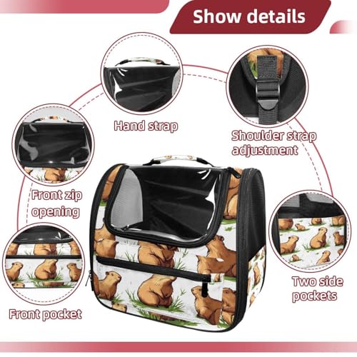 Airline Approved Pet Carrier Bag U4227